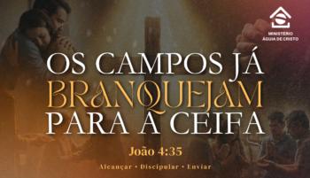 Os campos já branquejam para a ceifa | João 4:35